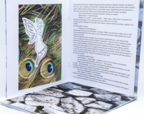 Zavičajna slikovnica